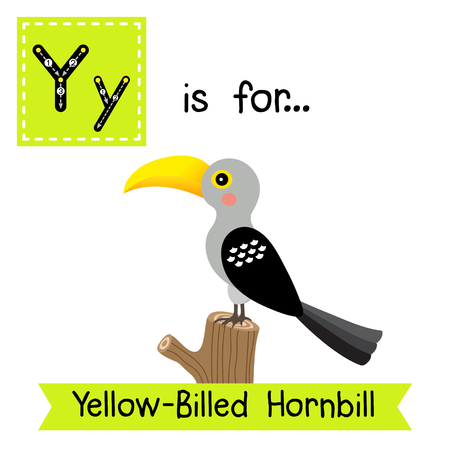 Y letter tracing. Yellow-Billed Hornbill bird. Cute children zoo alphabet flash card. Funny cartoon animal. Kids abc education. Learning English vocabulary. illustration.のイラスト素材