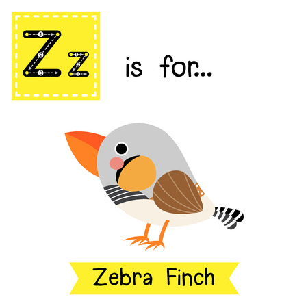 Z letter tracing. Zebra Finch bird. Cute children zoo alphabet flash card. Funny cartoon animal. Kids abc education. Learning English vocabulary. illustration.のイラスト素材