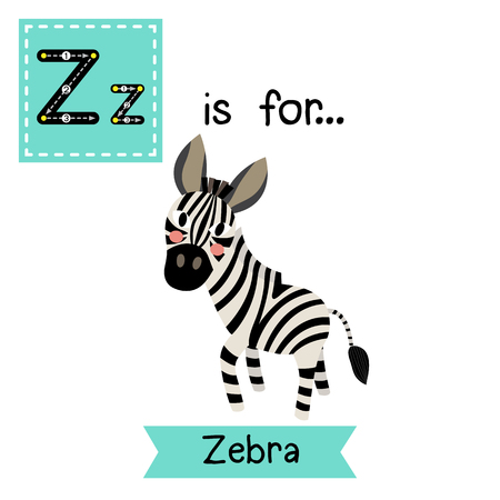Z letter tracing. Zebra. Cute children zoo alphabet flash card. Funny cartoon animal. Kids abc education. Learning English vocabulary. Vector illustration.のイラスト素材
