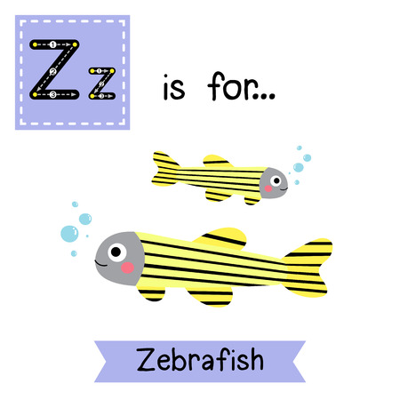 Z letter tracing. Zebrafish. Cute children zoo alphabet flash card. Funny cartoon animal. Kids abc education. Learning English vocabulary. illustration.のイラスト素材