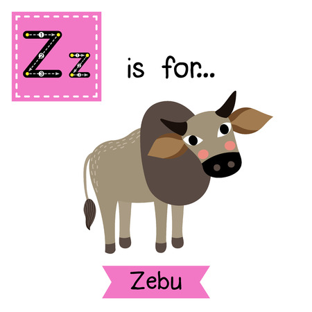 Z letter tracing. Zebu. Cute children zoo alphabet flash card. Funny cartoon animal. Kids abc education. Learning English vocabulary. illustration.のイラスト素材