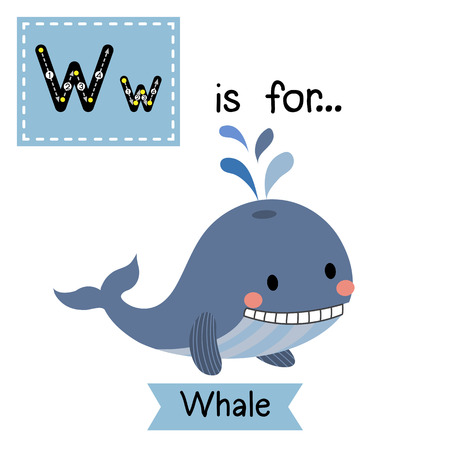 W letter tracing. Blue Whale with water splash. Cute children zoo alphabet flash card. Funny cartoon animal. Kids abc education. Learning English vocabulary. illustration.のイラスト素材