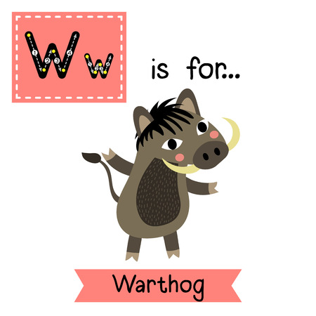 W letter tracing. Warthog. Cute children zoo alphabet flash card. Funny cartoon animal. Kids abc education. Learning English vocabulary. illustration.のイラスト素材