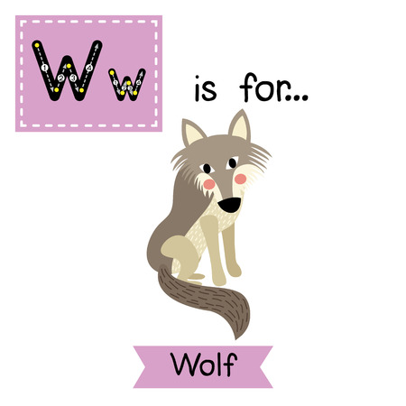 W letter tracing. Wolf. Cute children zoo alphabet flash card. Funny cartoon animal. Kids abc education. Learning English vocabulary. illustration.のイラスト素材