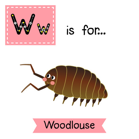 W letter tracing. Woodlouse. Cute children zoo alphabet flash card. Funny cartoon animal. Kids abc education. Learning English vocabulary. illustration.のイラスト素材