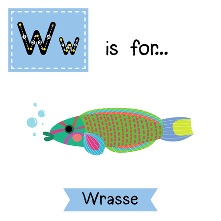 W letter tracing. Lunare or Lyretail Wrasse fish. Cute children zoo alphabet flash card. Funny cartoon animal. Kids abc education. Learning English vocabulary.  illustration.のイラスト素材