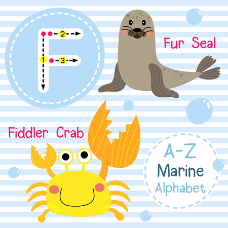 F letter tracing. Fiddler Crab. Fur Seal. Cute children sea marine alphabet flash card. Funny cartoon animal. Kids abc education. Learning English vocabulary. illustration.のイラスト素材