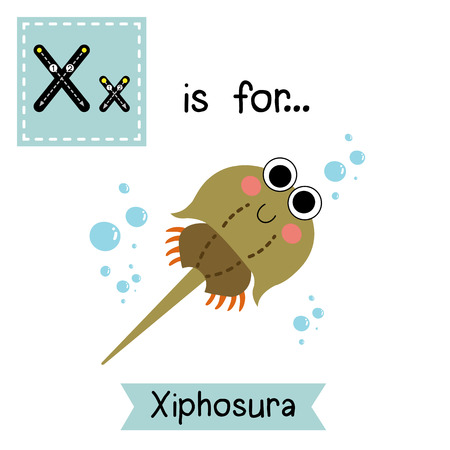 X letter tracing. Xiphosura (Horseshoe Crab). Cute children zoo alphabet flash card. Funny cartoon animal. Kids abc education. Learning English vocabulary. illustration.のイラスト素材