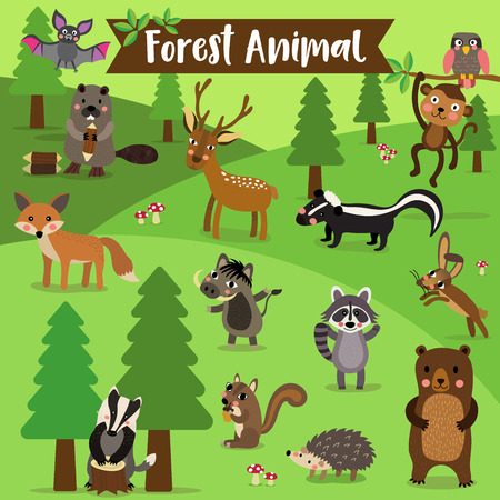 Forest Animal cartoon. Bat. Owl. Fox. Deer. Bear. Raccoon. Monkey. Squirrel. Hedgehog. Skunk. Warthog. Beaver. Hare. Badger. illustration.のイラスト素材