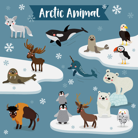 Arctic Animal cartoon. Penguin, Polar Bear, Reindeer. Walrus. Moose. Snowy Owl. Arctic Fox. Eagle. Killer whale. Bison. Seal. Puffin. Narwhal. illustration.のイラスト素材