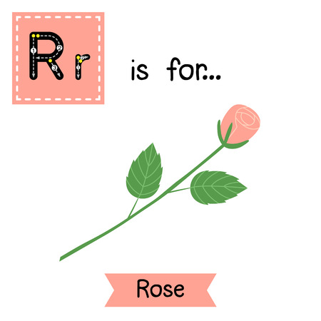 Cute children ABC alphabet R letter tracing flashcard of Rose for kids learning English vocabulary in Valentines Day theme.のイラスト素材