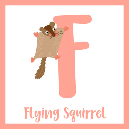 F letter vocabulary. Flying Squirrel. Cute children ABC zoo alphabet flash card. Funny cartoon animal. Kids abc education. Learning English vocabulary. Vector illustration.のイラスト素材