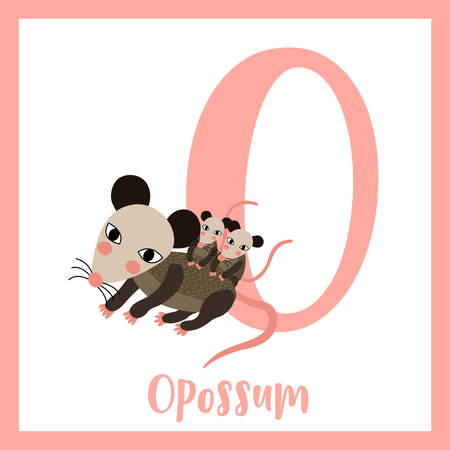O letter vocabulary. Mother and baby Opossum. Cute children ABC zoo alphabet flash card. Funny cartoon animal. Kids abc education. Learning English vocabulary. Vector illustration.のイラスト素材