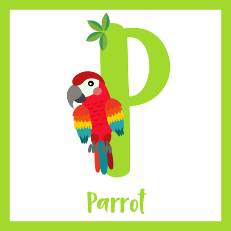 P letter vocabulary. Red Parrot bird. Cute children ABC zoo alphabet flash card. Funny cartoon animal. Kids abc education. Learning English vocabulary. Vector illustration.のイラスト素材