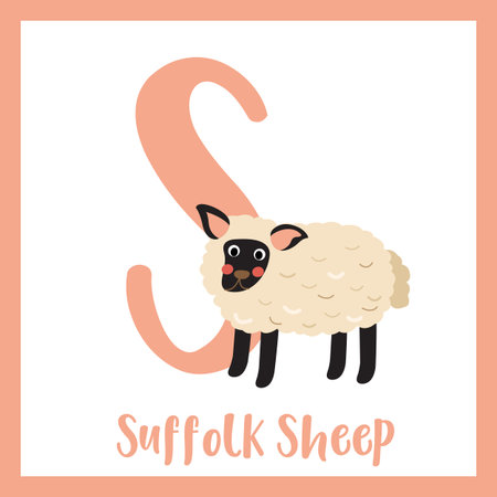 S letter vocabulary. Suffolk standing Sheep. Cute children ABC zoo alphabet flash card. Funny cartoon animal. Kids abc education. Learning English vocabulary. Vector illustration.のイラスト素材