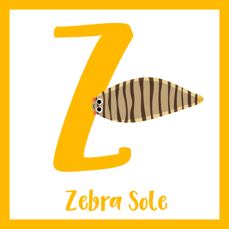 Z letter vocabulary. Zebra Sole. Cute children ABC zoo alphabet flash card. Funny cartoon animal. Kids abc education. Learning English vocabulary. Vector illustration.のイラスト素材