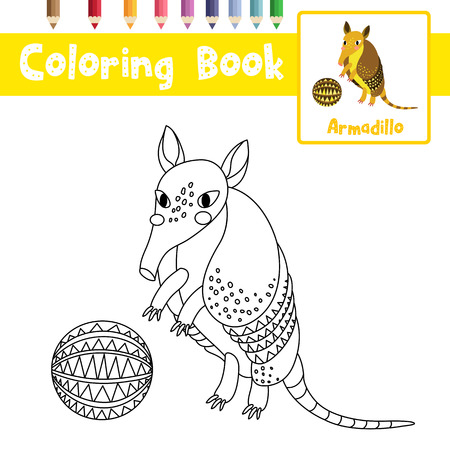 Coloring page of Standing armadillo with ball animals for preschool kids activity educational worksheet. Vector Illustration.のイラスト素材