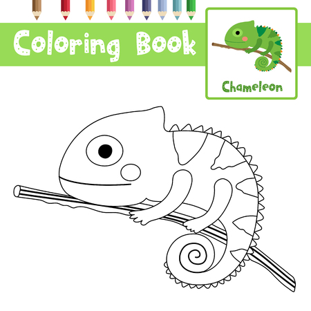 Coloring page of Chameleon on branch animals for preschool kids activity educational worksheet. Vector Illustration.のイラスト素材