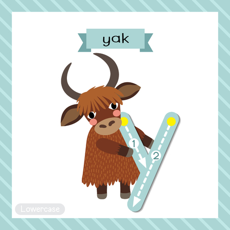 Letter Y lowercase cute children colorful zoo and animals ABC alphabet tracing flashcard of Yak standing on two legs for kids learning English vocabulary and handwriting vector illustration.のイラスト素材