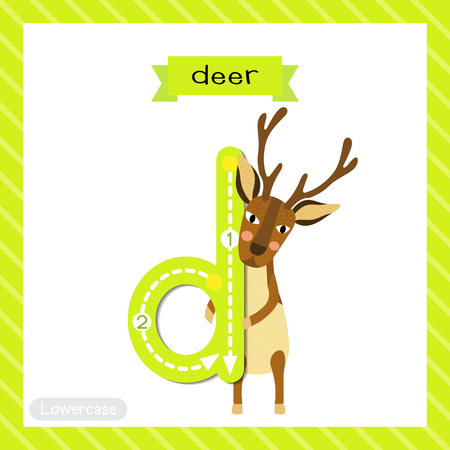 Letter D lowercase cute children colorful zoo and animals ABC alphabet tracing flashcard of Deer standing on two legs for kids learning English vocabulary and handwriting vector illustration.のイラスト素材