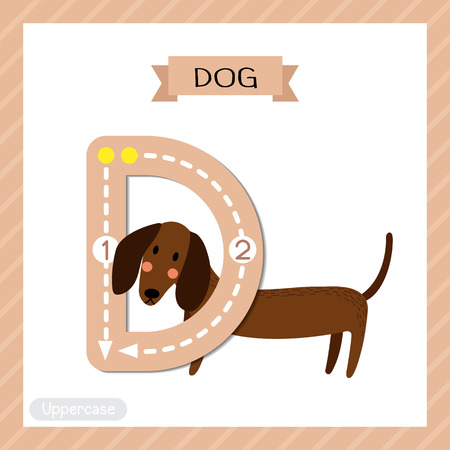 Letter D uppercase cute children colorful zoo and animals ABC alphabet tracing flashcard of Standing Dog for kids learning English vocabulary and handwriting vector illustration.のイラスト素材