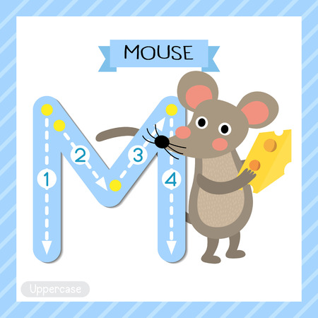 Letter M uppercase cute children colorful zoo and animals ABC alphabet tracing flashcard of Mouse holding cheese for kids learning English vocabulary and handwriting vector illustration.のイラスト素材
