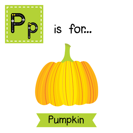 Cute children ABC alphabet P letter tracing flashcard of orange Pumpkin for kids learning English vocabulary in Happy Halloween Day theme.のイラスト素材