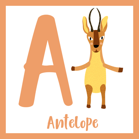 Cute children ABC animal zoo alphabet A letter flashcard of Antelope standing on two legs for kids learning English vocabulary. Vector illustration.のイラスト素材