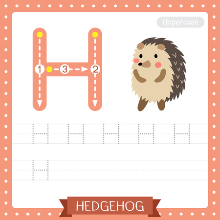 Letter H uppercase cute children colorful zoo and animals ABC alphabet tracing practice worksheet ofHedgehog standing on two legs for kids learning English vocabulary and handwriting vector illustration.のイラスト素材
