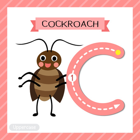 Letter C uppercase cute children colorful zoo and animals ABC alphabet tracing flashcard of Happy standing Cockroach for kids learning English vocabulary and handwriting vector illustration.のイラスト素材