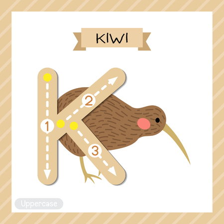 Letter K uppercase cute children colorful zoo and animals ABC alphabet tracing flashcard of Kiwi bird for kids learning English vocabulary and handwriting vector illustration.のイラスト素材