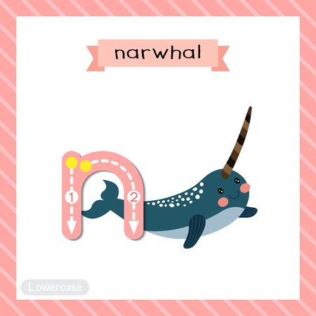 Letter N lowercase cute children colorful zoo and animals ABC alphabet tracing flashcard of Long tusk Narwhal for kids learning English vocabulary and handwriting vector illustration.のイラスト素材