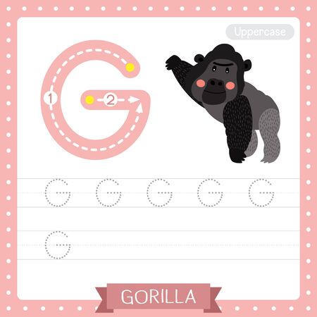 Letter G uppercase cute children colorful zoo and animals ABC alphabet tracing practice worksheet of Gorilla for kids learning English vocabulary and handwriting vector illustration.のイラスト素材