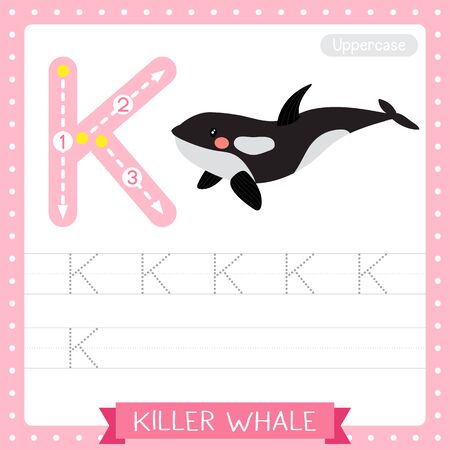 Letter K uppercase cute children colorful zoo and animals ABC alphabet tracing practice worksheet of Killer whale for kids learning English vocabulary and handwriting vector illustration.のイラスト素材