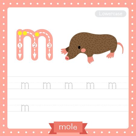 Letter M lowercase cute children colorful zoo and animals ABC alphabet tracing practice worksheet of Mole for kids learning English vocabulary and handwriting vector illustration.のイラスト素材