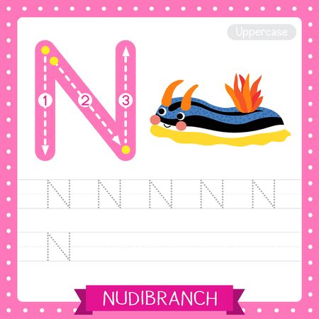 Letter N uppercase cute children colorful zoo and animals ABC alphabet tracing practice worksheet of Colorful Nudibranch for kids learning English vocabulary and handwriting vector illustration.のイラスト素材