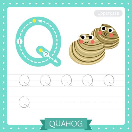 Letter Q uppercase cute children colorful zoo and animals ABC alphabet tracing practice worksheet of Quahog for kids learning English vocabulary and handwriting vector illustration.のイラスト素材