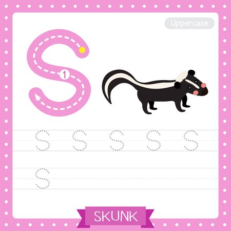 Letter S uppercase cute children colorful zoo and animals ABC alphabet tracing practice worksheet of Skunk for kids learning English vocabulary and handwriting vector illustration.のイラスト素材