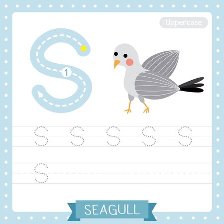 Letter S uppercase cute children colorful zoo and animals ABC alphabet tracing practice worksheet of Standing Seagull bird for kids learning English vocabulary and handwriting vector illustration.のイラスト素材