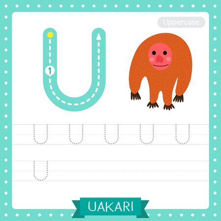 Letter U uppercase cute children colorful zoo and animals ABC alphabet tracing practice worksheet of Standing Uakari for kids learning English vocabulary and handwriting vector illustration.のイラスト素材