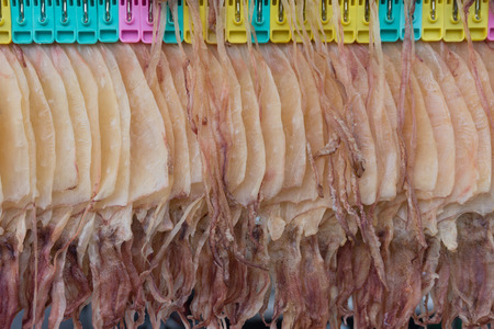Dried squid hanging  on wireの写真素材