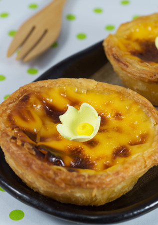 Egg tart on green dot  backgroundの写真素材