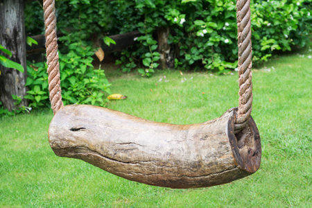 Log swing under the treeの写真素材