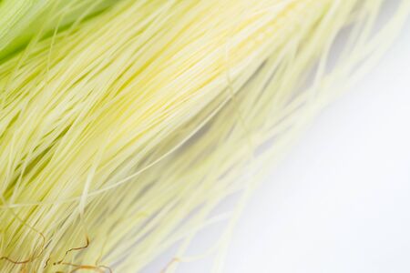 Corn silk close up with selective focus pointの写真素材