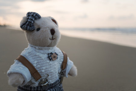 Teddy bear standing on the beachの写真素材