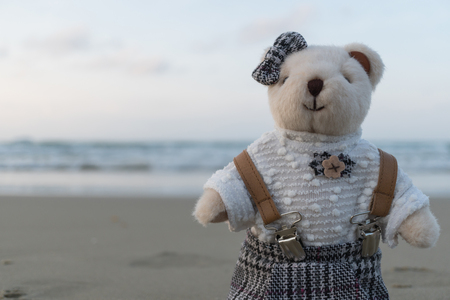 Teddy bear standing on the beach
の写真素材