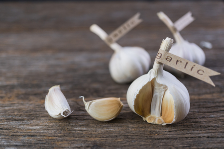 Decorated garlic bulb on vintage wood background
の写真素材