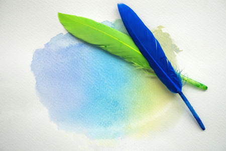 Abstract colorful watercolor on white paper with feathersの写真素材