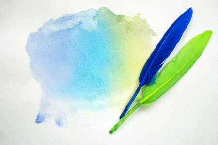 Abstract colorful watercolor on white paper with feathers.