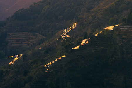 Hani Terraced rice fields of YuanYang, China during the golden hour